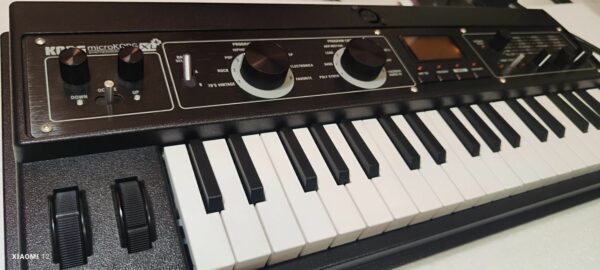 Microkorg Xl + plus - Bag e Librerie Aggiuntive | Possibile permuta ( xl+ ) - immagine 3