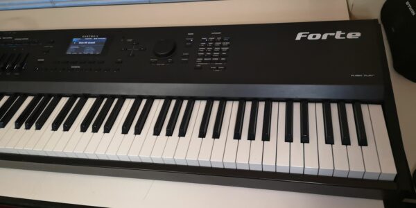 Kurzweil Forte 88 con suoni aggiuntivi e bag originale - possibile permuta - immagine 4